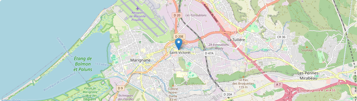 Saint-Victoret - Carte