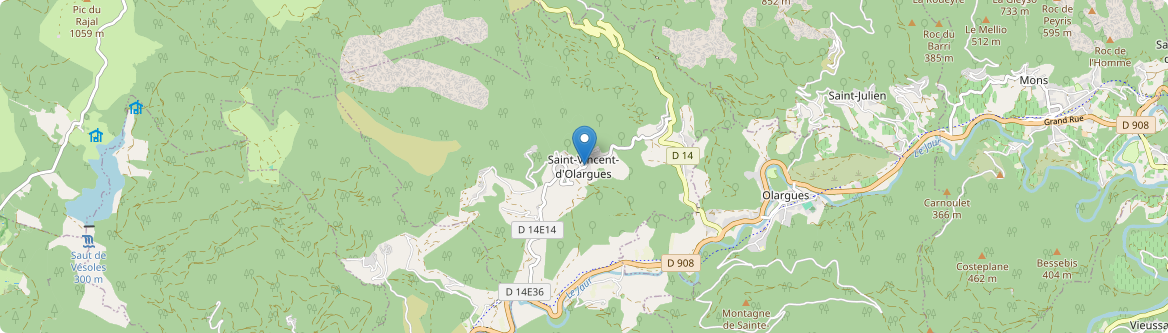Saint-Vincent-d'Olargues - Carte