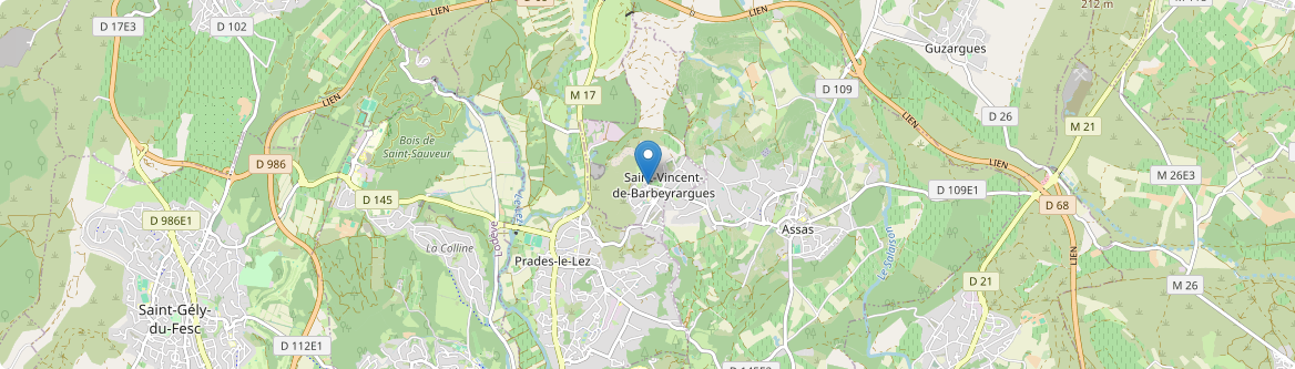 Saint-Vincent-de-Barbeyrargues - Carte