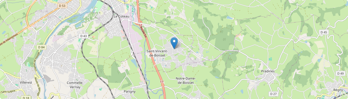 Saint-Vincent-de-Boisset - Carte