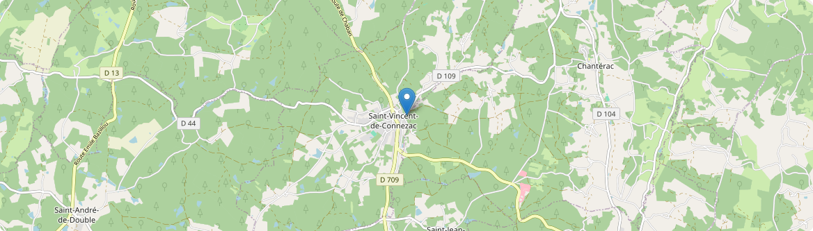 Saint-Vincent-de-Connezac - Carte