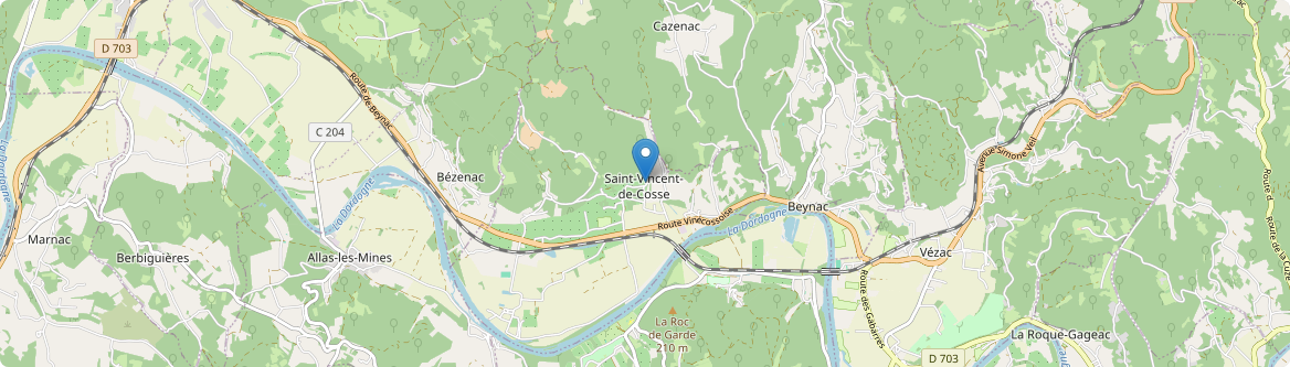 Saint-Vincent-de-Cosse - Carte