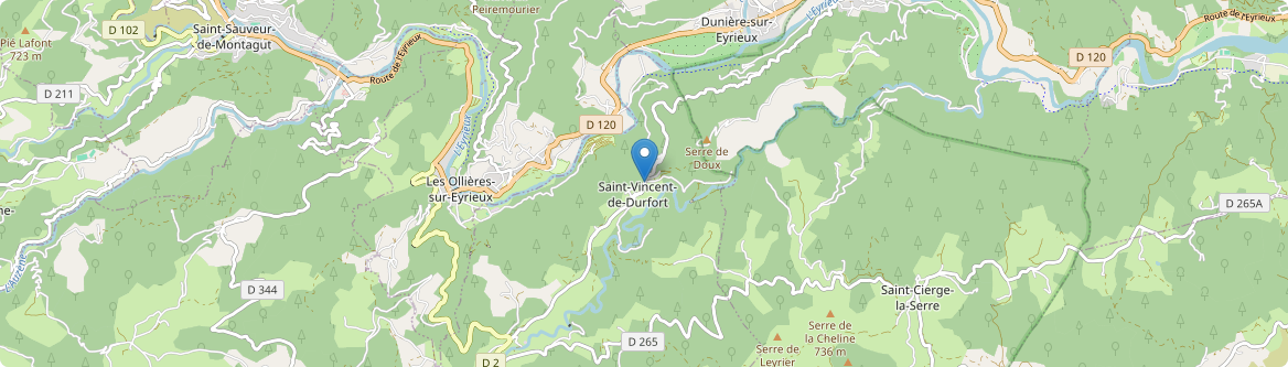 Saint-Vincent-de-Durfort - Carte