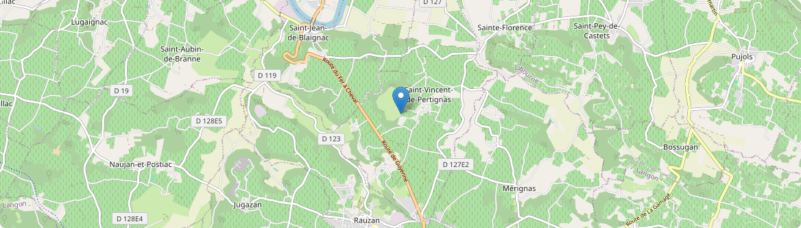 Saint-Vincent-de-Pertignas - Carte