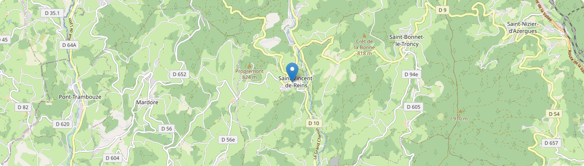 Saint-Vincent-de-Reins - Carte