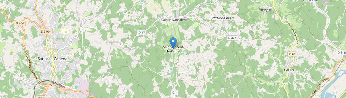 Saint-Vincent-le-Paluel - Carte