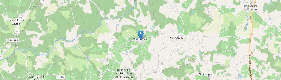 Saint-Vivien - Carte
