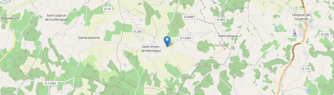 Saint-Vivien-de-Monségur - Carte