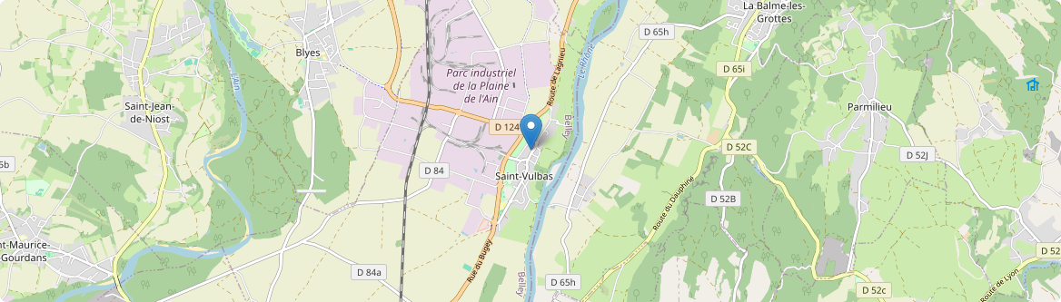 Saint-Vulbas - Carte