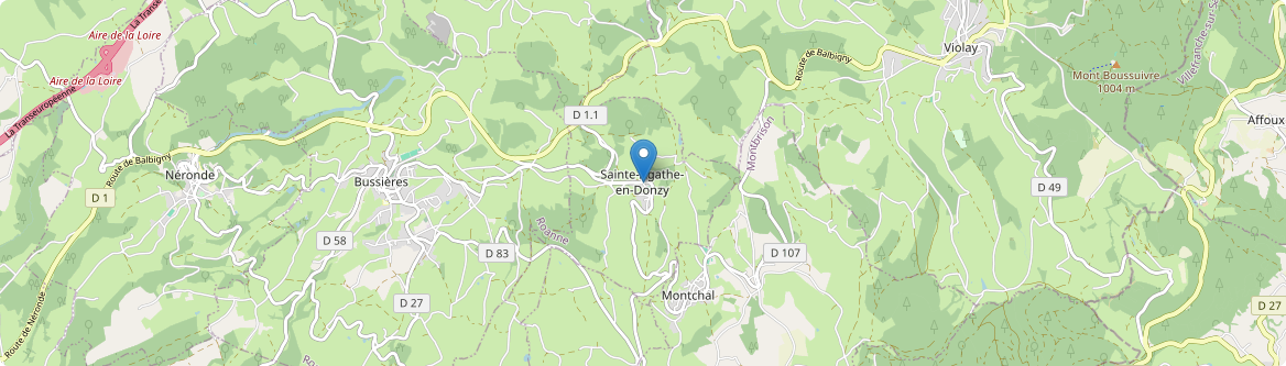 Sainte-Agathe-en-Donzy - Carte