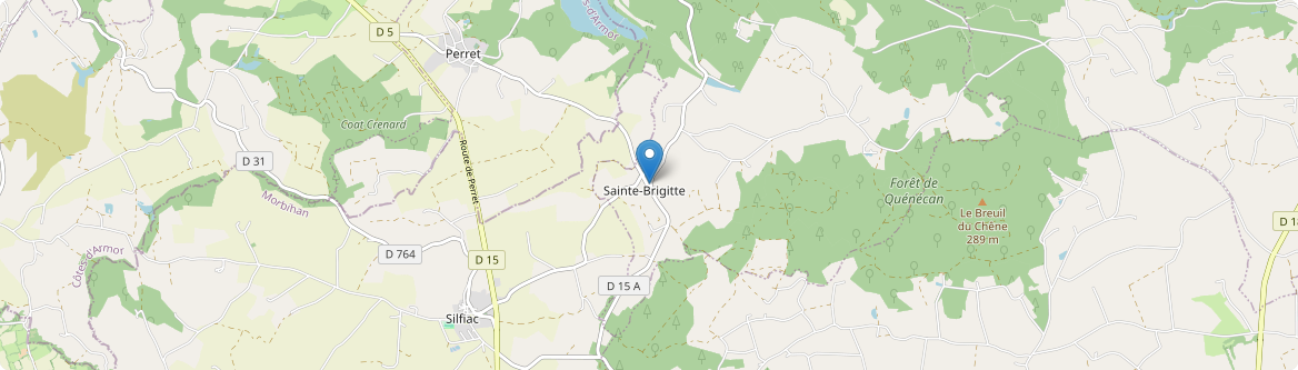 Sainte-Brigitte - Carte