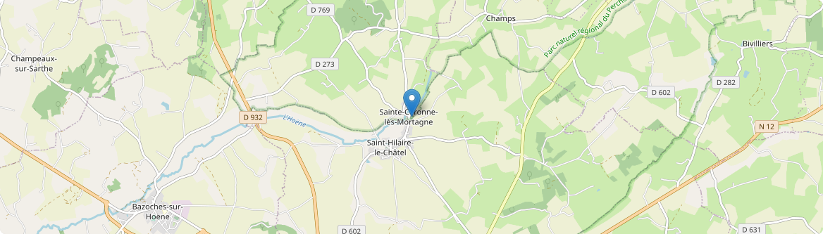 Sainte-Céronne-lès-Mortagne - Carte