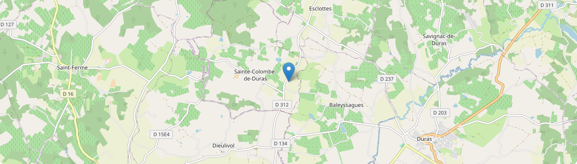 Sainte-Colombe-de-Duras - Carte
