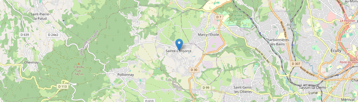 Sainte-Consorce - Carte