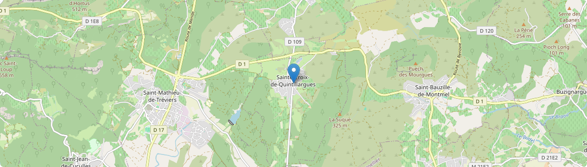 Sainte-Croix-de-Quintillargues - Carte