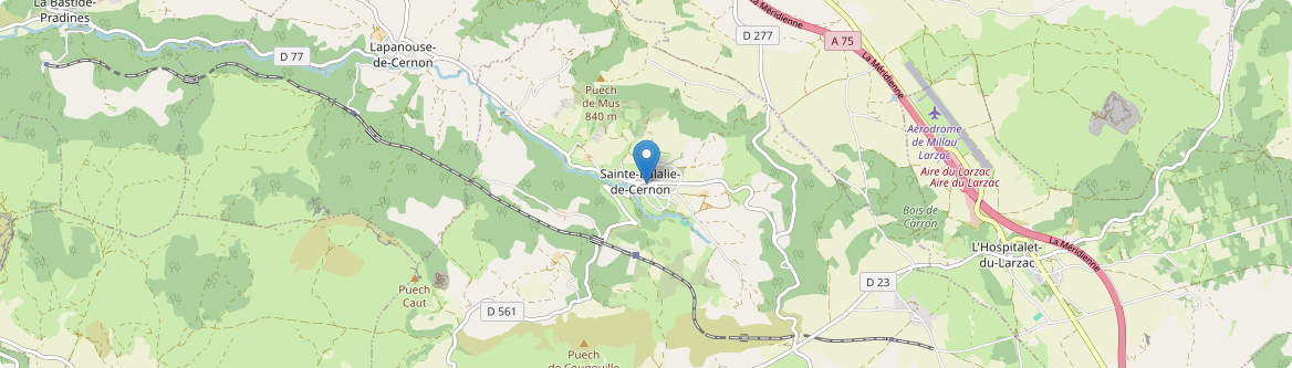 Sainte-Eulalie-de-Cernon - Carte