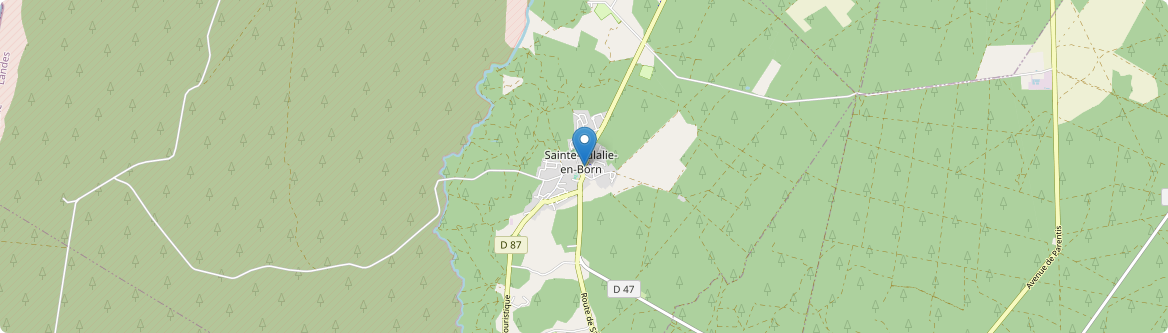 Sainte-Eulalie-en-Born - Carte