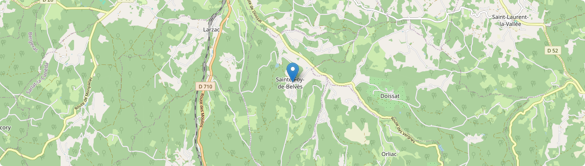 Sainte-Foy-de-Belvès - Carte