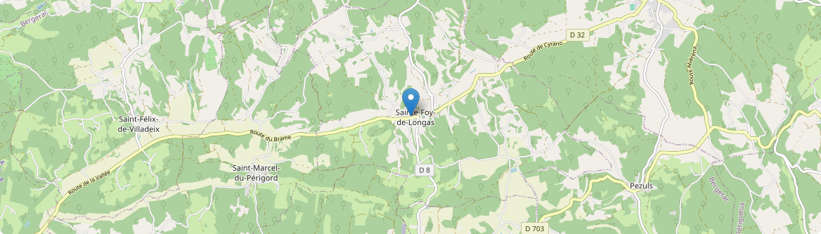 Sainte-Foy-de-Longas - Carte