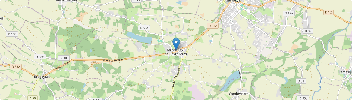 Sainte-Foy-de-Peyrolières - Carte