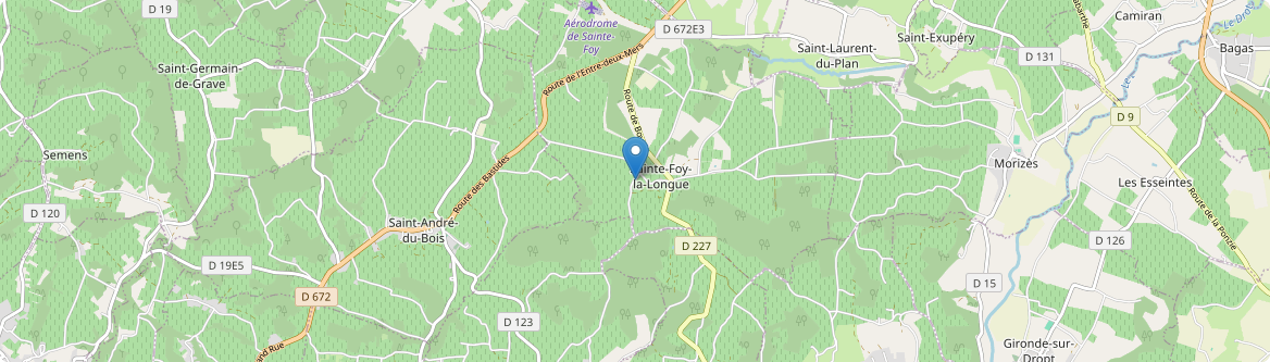 Sainte-Foy-la-Longue - Carte