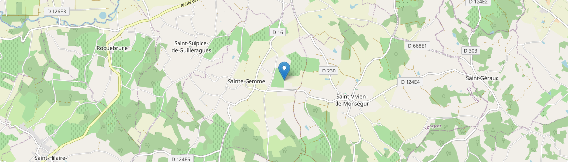 Sainte-Gemme - Carte