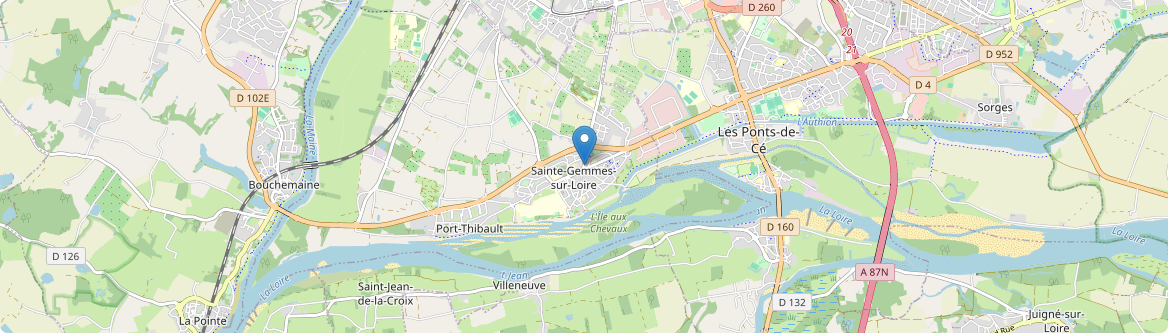 Sainte-Gemmes-sur-Loire - Carte