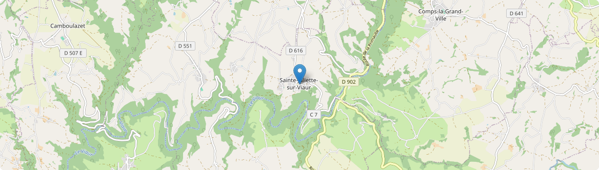 Sainte-Juliette-sur-Viaur - Carte