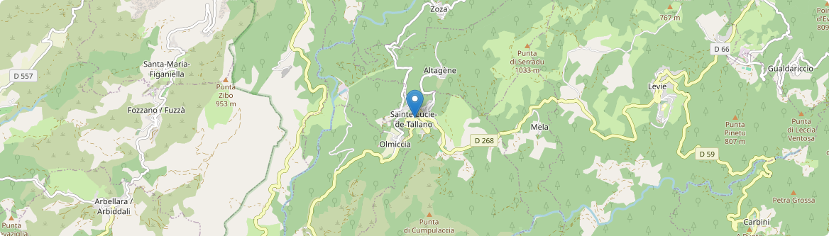 Sainte-Lucie-de-Tallano - Carte