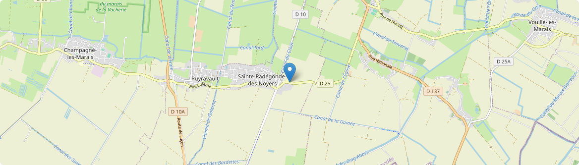 Sainte-Radégonde-des-Noyers - Carte
