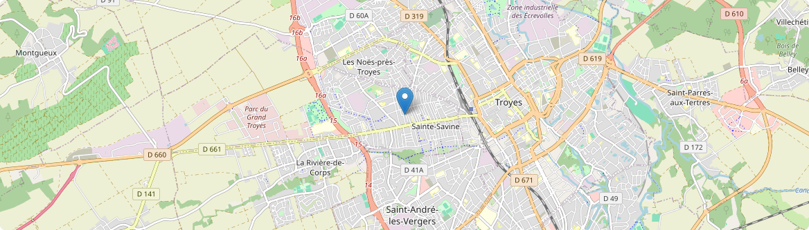 Sainte-Savine - Carte