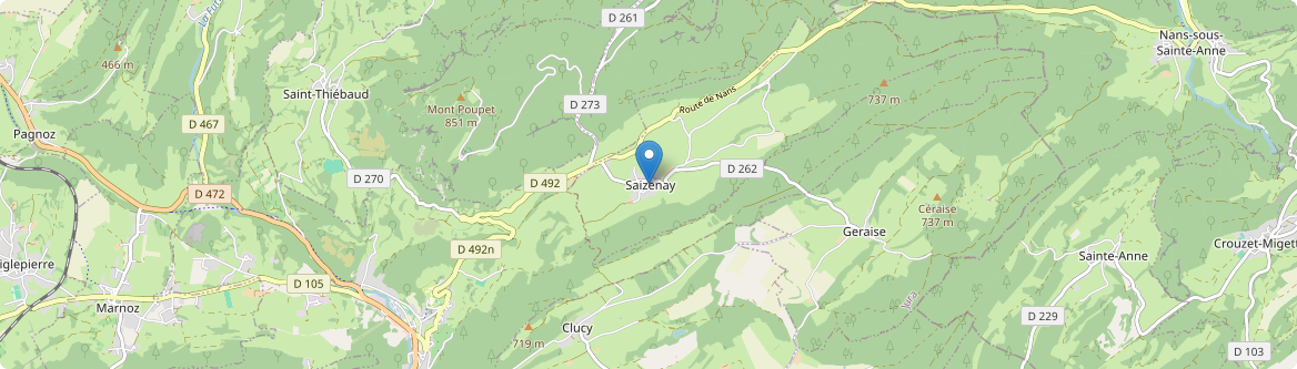 Saizenay - Carte