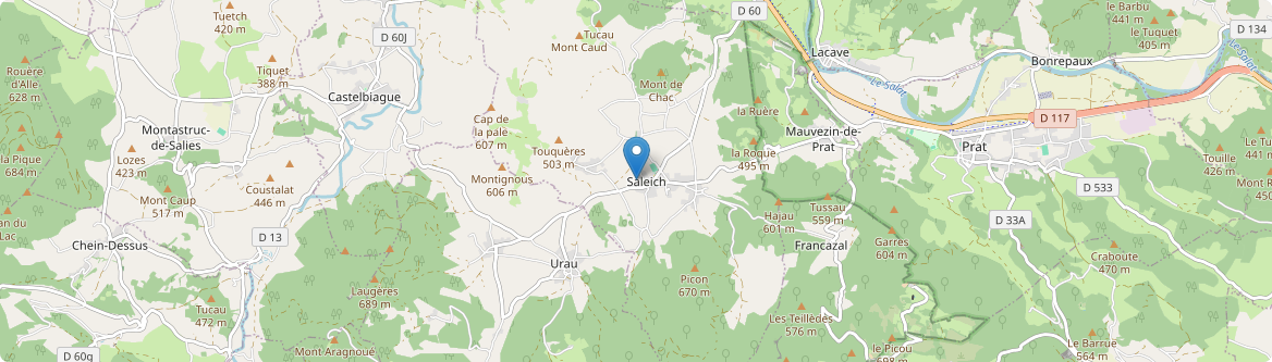 Saleich - Carte