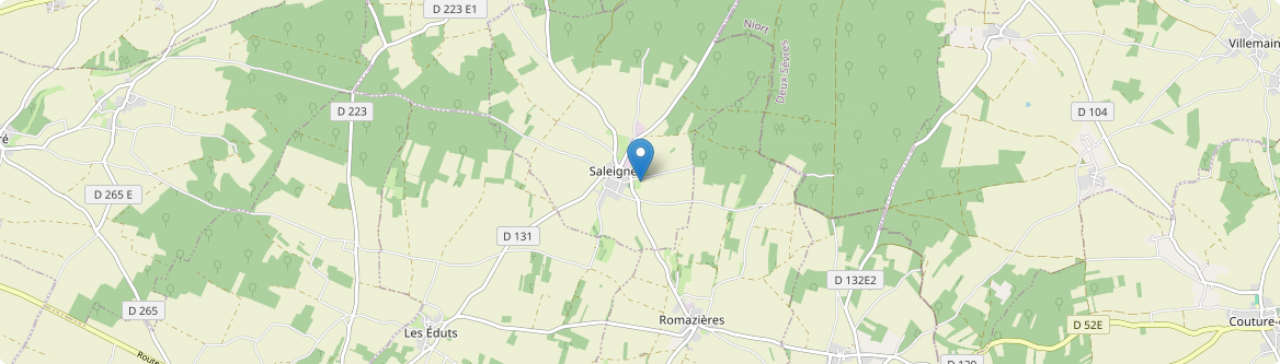 Saleignes - Carte