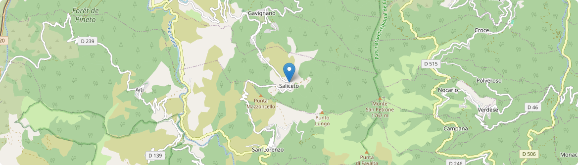 Saliceto - Carte