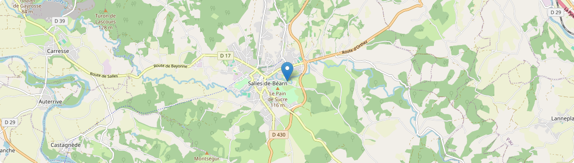 Salies-de-Béarn - Carte