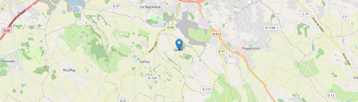 Saliès - Carte