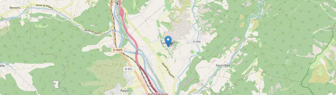 Salignac - Carte