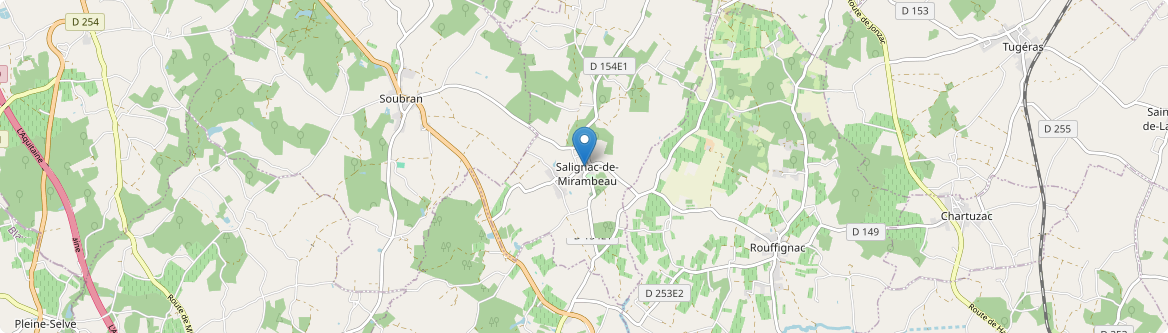 Salignac-de-Mirambeau - Carte