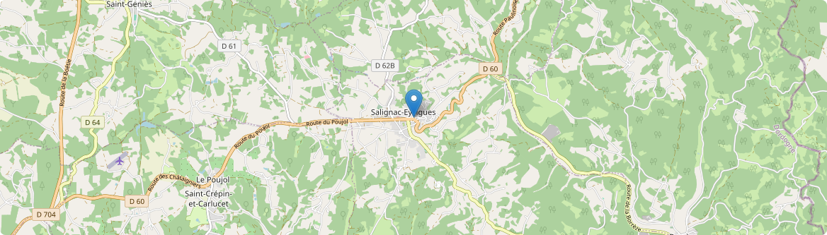 Salignac-Eyvigues - Carte