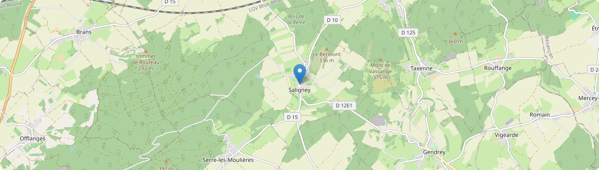 Saligney - Carte