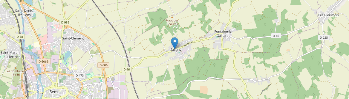 Saligny - Carte