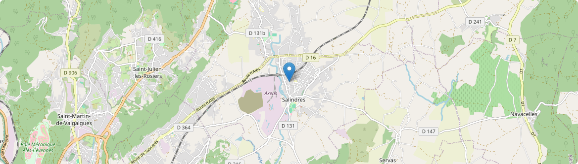 Salindres - Carte