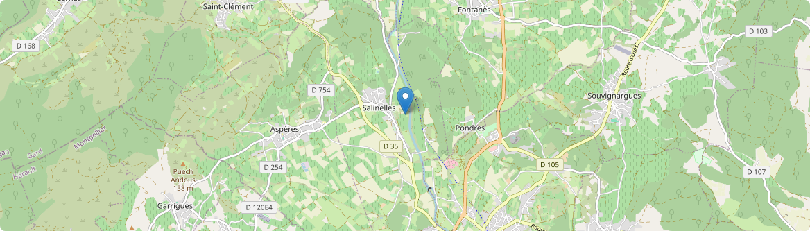Salinelles - Carte