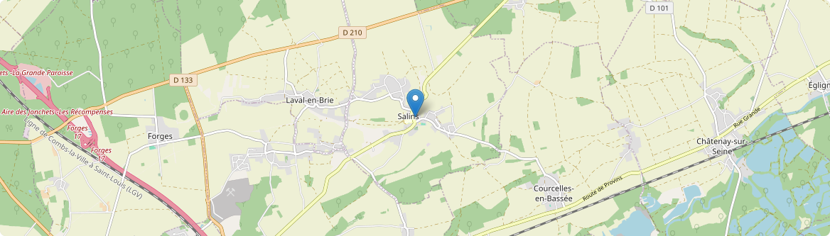 Salins - Carte