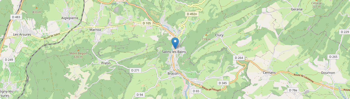 Salins-les-Bains - Carte