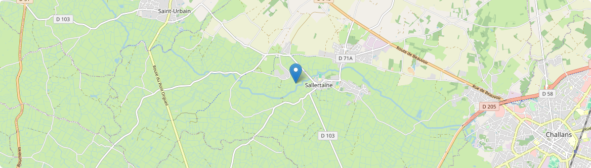 Sallertaine - Carte