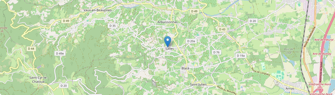 Salles-Arbuissonnas-en-Beaujolais - Carte