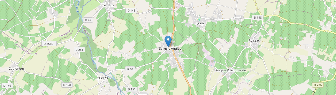 Salles-d'Angles - Carte