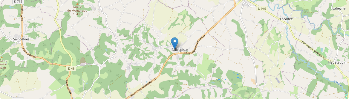 Sallespisse - Carte